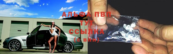 прущие грибы Баксан