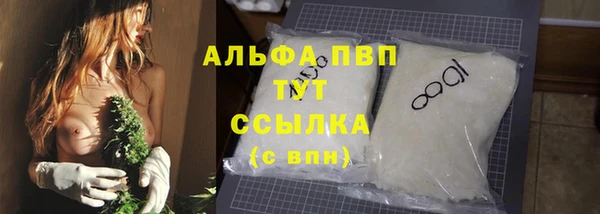 прущие грибы Баксан