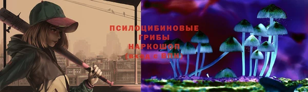 прущие грибы Баксан