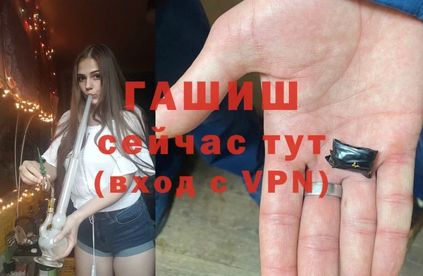 прущие грибы Баксан