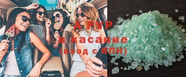 прущие грибы Баксан