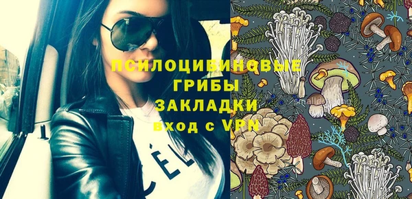 дмт Белокуриха