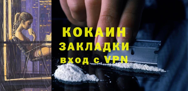 прущие грибы Баксан